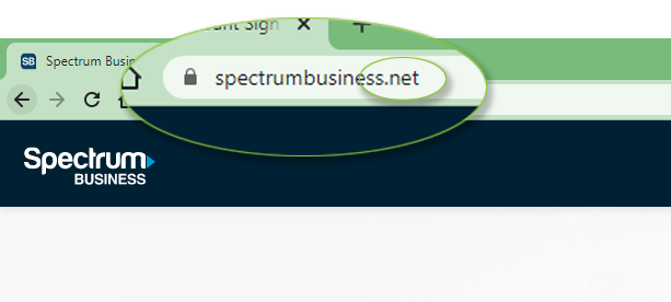An example of a .net domain extension is used with the Spectrum Business site.